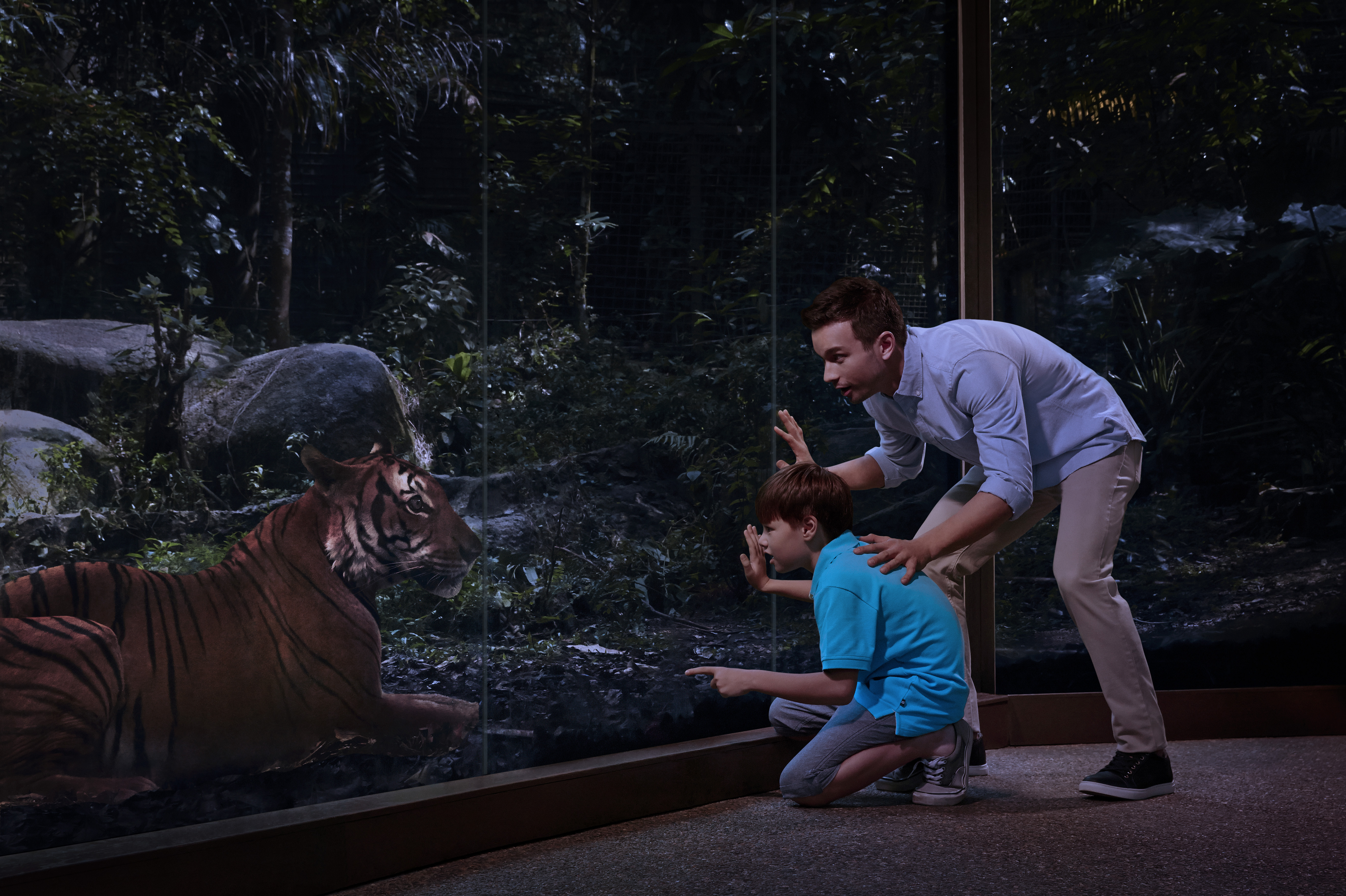 1. 歩いてまわる4つのアニマルトレイル